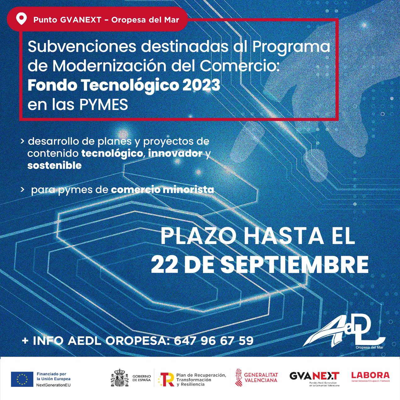 Subvenciones para la Modernización del Comercio