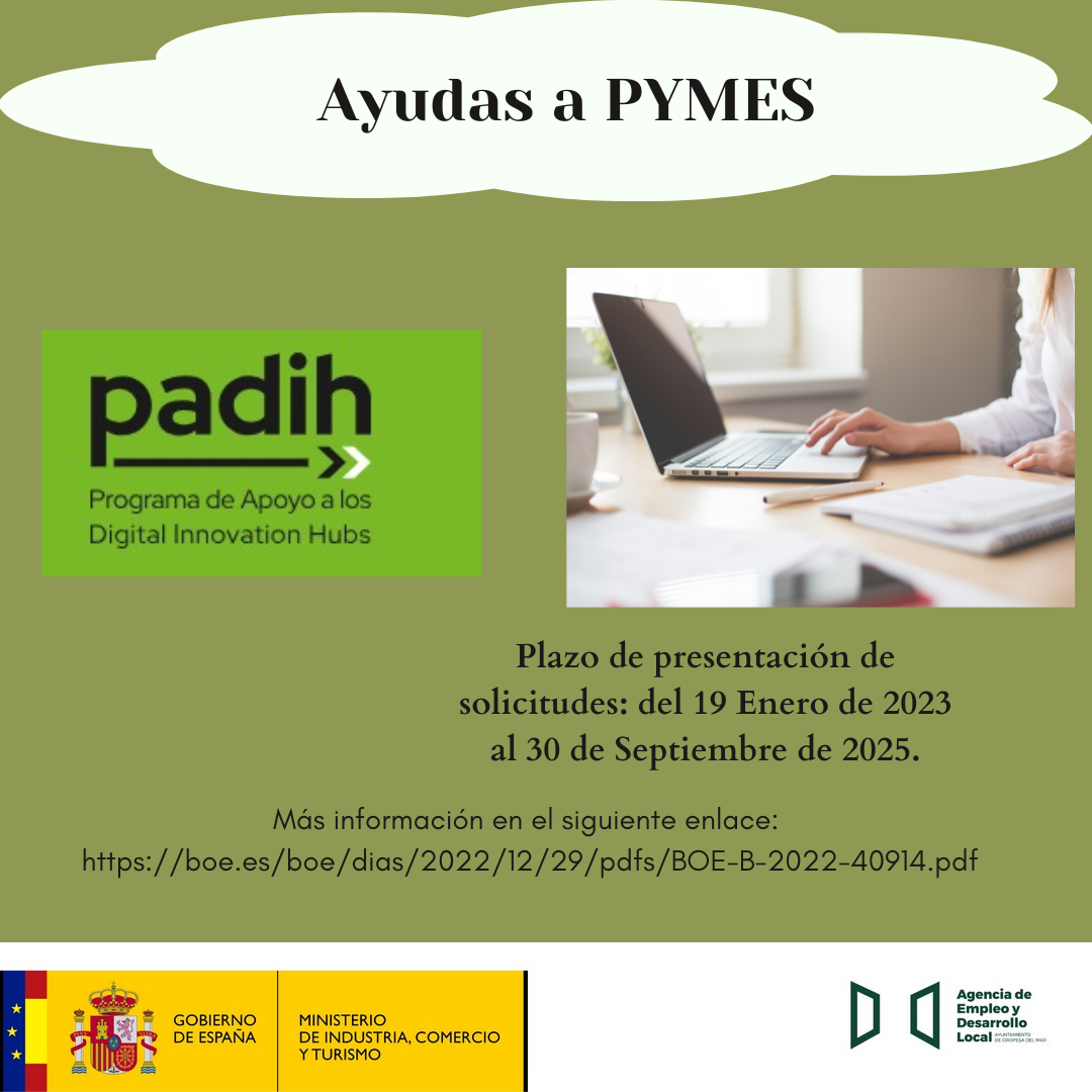 Ayudas a pequeñas y medianas empresas dentro del programa de Apoyo a los Digital Innovation Hubs (PADIH).